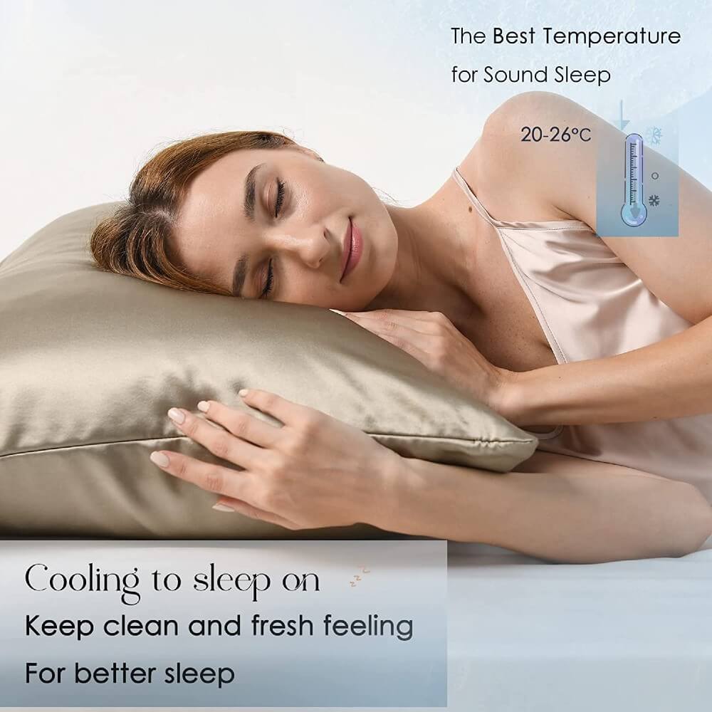 2 Pack Mulberry Silk Pillowcase for Hair and Skin 100% Natural Silk Pillow Case Cover with Hidden Zipper